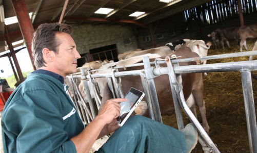Farmers Lead the Way in Digital Technology